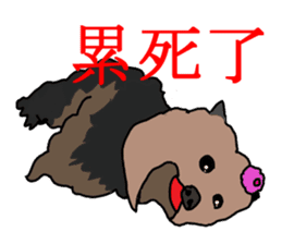 Chinese of a cheerful Yorkshire terrier sticker #2114581