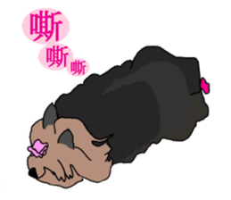 Chinese of a cheerful Yorkshire terrier sticker #2114583