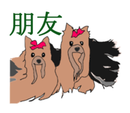 Chinese of a cheerful Yorkshire terrier sticker #2114587