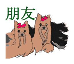Chinese of a cheerful Yorkshire terrier sticker #2114587