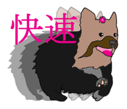 Chinese of a cheerful Yorkshire terrier sticker #2114588