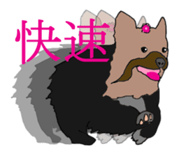 Chinese of a cheerful Yorkshire terrier sticker #2114588