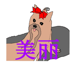 Chinese of a cheerful Yorkshire terrier sticker #2114589