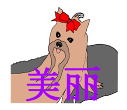 Chinese of a cheerful Yorkshire terrier sticker #2114589
