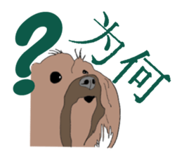 Chinese of a cheerful Yorkshire terrier sticker #2114593