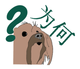 Chinese of a cheerful Yorkshire terrier sticker #2114593