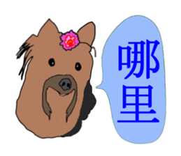 Chinese of a cheerful Yorkshire terrier sticker #2114594