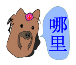 Chinese of a cheerful Yorkshire terrier sticker #2114594