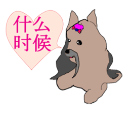 Chinese of a cheerful Yorkshire terrier sticker #2114595