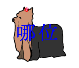 Chinese of a cheerful Yorkshire terrier sticker #2114597