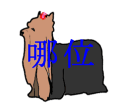 Chinese of a cheerful Yorkshire terrier sticker #2114597