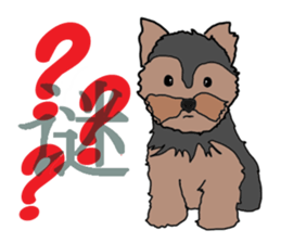 Chinese of a cheerful Yorkshire terrier sticker #2114599
