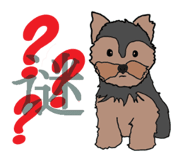 Chinese of a cheerful Yorkshire terrier sticker #2114599
