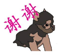 Chinese of a cheerful Yorkshire terrier sticker #2114606