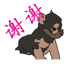 Chinese of a cheerful Yorkshire terrier sticker #2114606