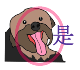 Chinese of a cheerful Yorkshire terrier sticker #2114607