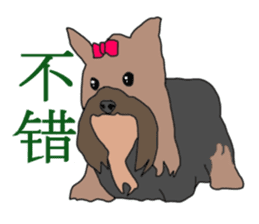 Chinese of a cheerful Yorkshire terrier sticker #2114608
