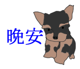 Chinese of a cheerful Yorkshire terrier sticker #2114611