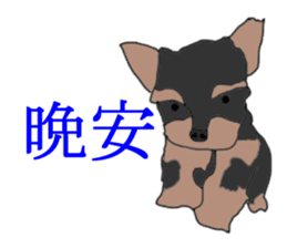 Chinese of a cheerful Yorkshire terrier sticker #2114611