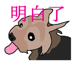 Chinese of a cheerful Yorkshire terrier sticker #2114612