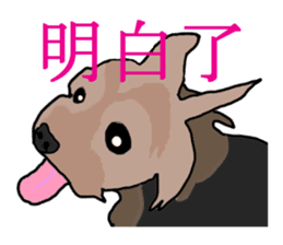 Chinese of a cheerful Yorkshire terrier sticker #2114612