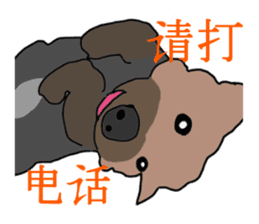 Chinese of a cheerful Yorkshire terrier sticker #2114614