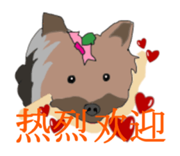 Chinese of a cheerful Yorkshire terrier sticker #2114615