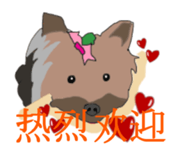 Chinese of a cheerful Yorkshire terrier sticker #2114615