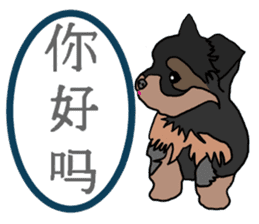 Chinese of a cheerful Yorkshire terrier sticker #2114616