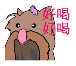 Chinese of a cheerful Yorkshire terrier sticker #2114618