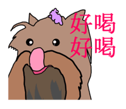 Chinese of a cheerful Yorkshire terrier sticker #2114618