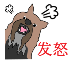 Chinese of a cheerful Yorkshire terrier sticker #2114620