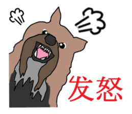 Chinese of a cheerful Yorkshire terrier sticker #2114620