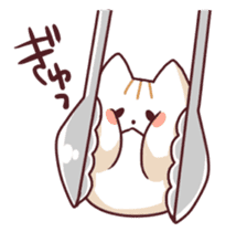 chinese cat sticker #2116319