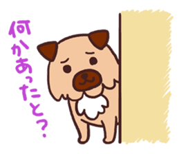 Michael a hybrid dog living in Hakata 2 sticker #2118109