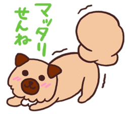 Michael a hybrid dog living in Hakata 2 sticker #2118114