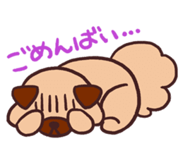 Michael a hybrid dog living in Hakata 2 sticker #2118121