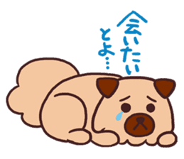 Michael a hybrid dog living in Hakata 2 sticker #2118125