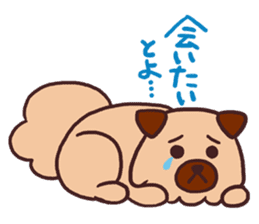 Michael a hybrid dog living in Hakata 2 sticker #2118125