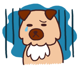 Michael a hybrid dog living in Hakata 2 sticker #2118136