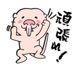 Rodents sticker #2120206