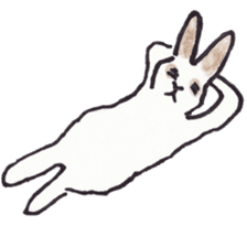 Pero rabbit sticker #2121198