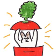 Pero rabbit sticker #2121202