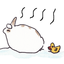 Pero rabbit sticker #2121206