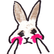 Pero rabbit sticker #2121212