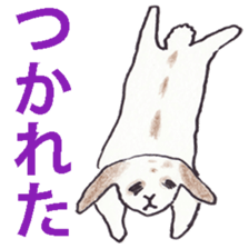 Pero rabbit sticker #2121216