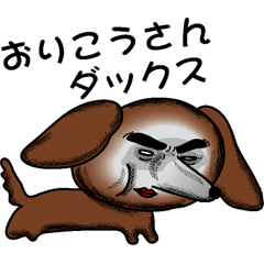 A clever dog Dachshund