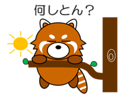 Red panda in Kansai region of Japan 1 sticker #2123830