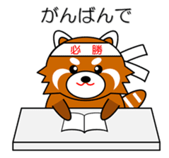 Red panda in Kansai region of Japan 1 sticker #2123833