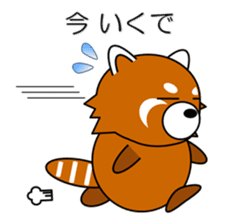 Red panda in Kansai region of Japan 1 sticker #2123839